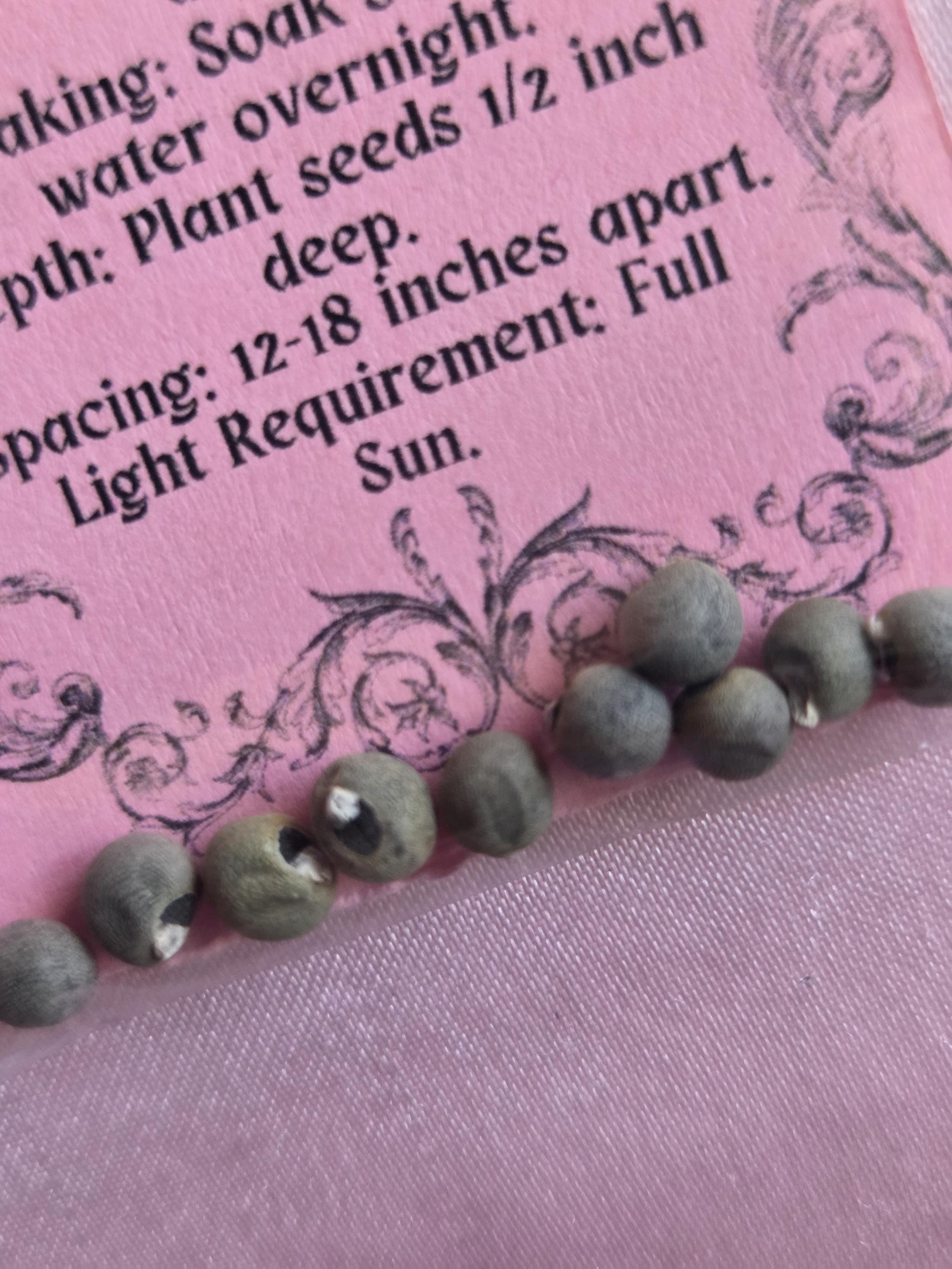 10 Red Burgundy Okra Seeds