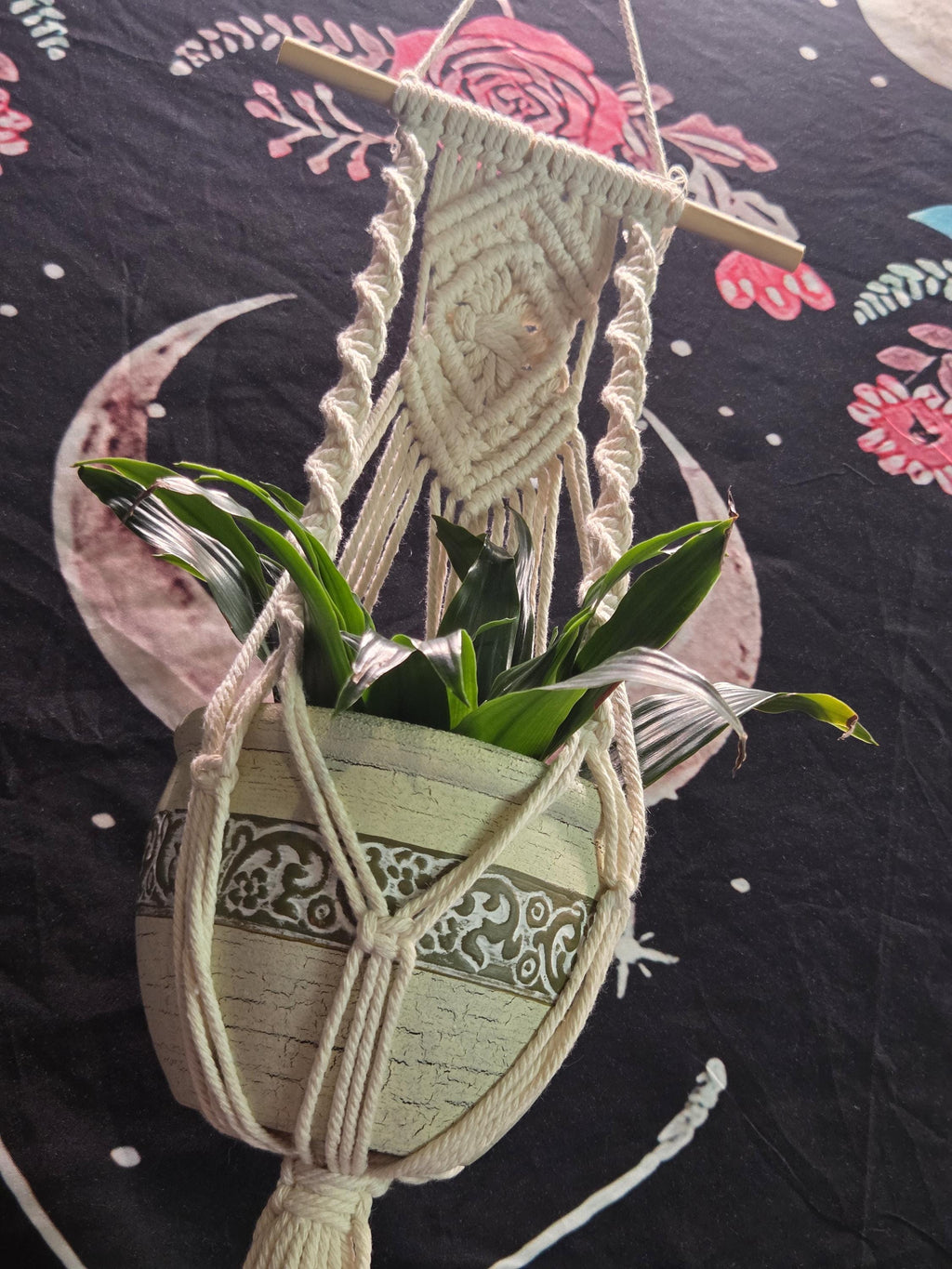 Small White Macrame Plant Hanger for Wall
