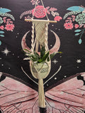 Small White Macrame Plant Hanger for Wall