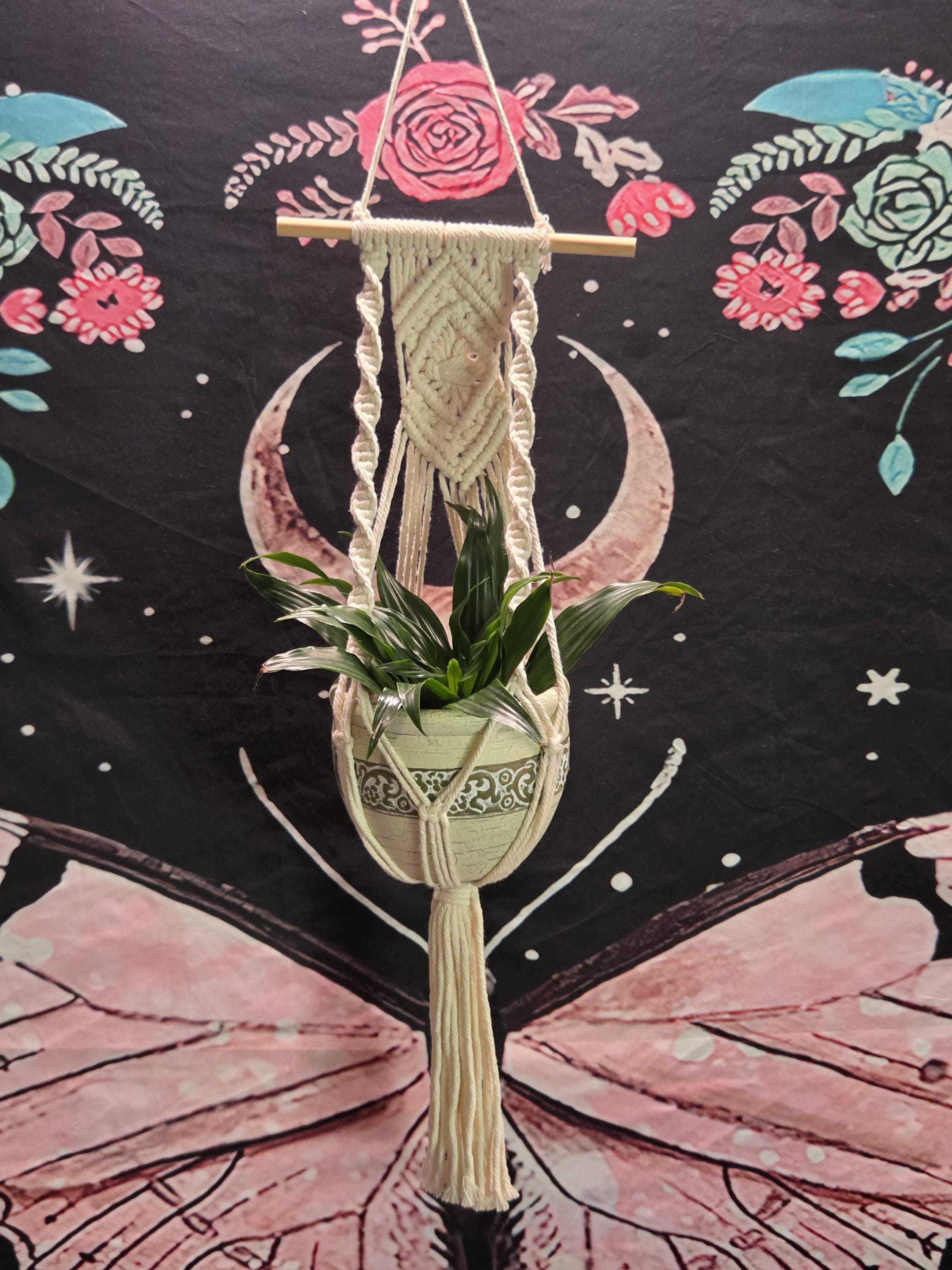 Small White Macrame Plant Hanger for Wall