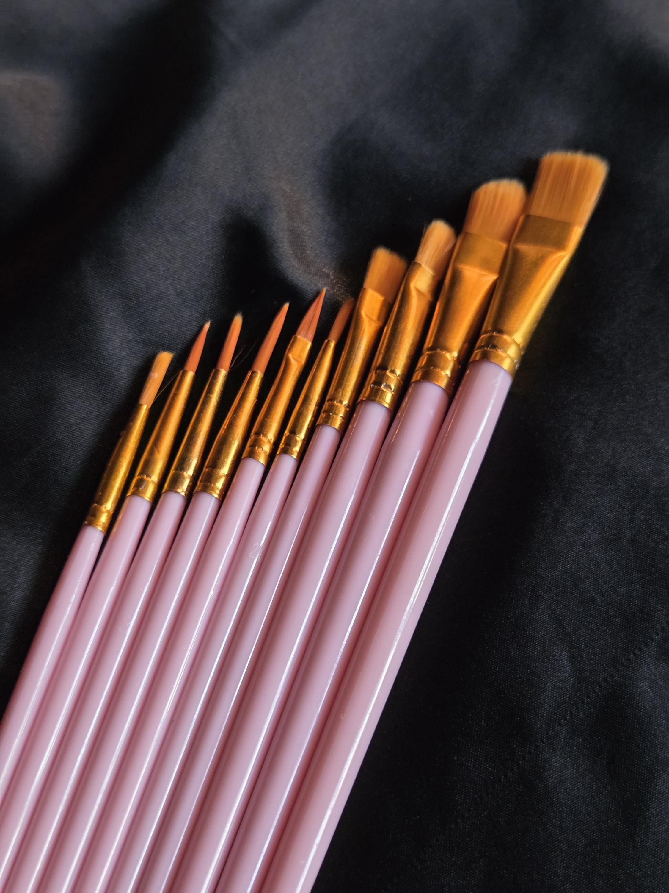Set of 10 Paint Brushes