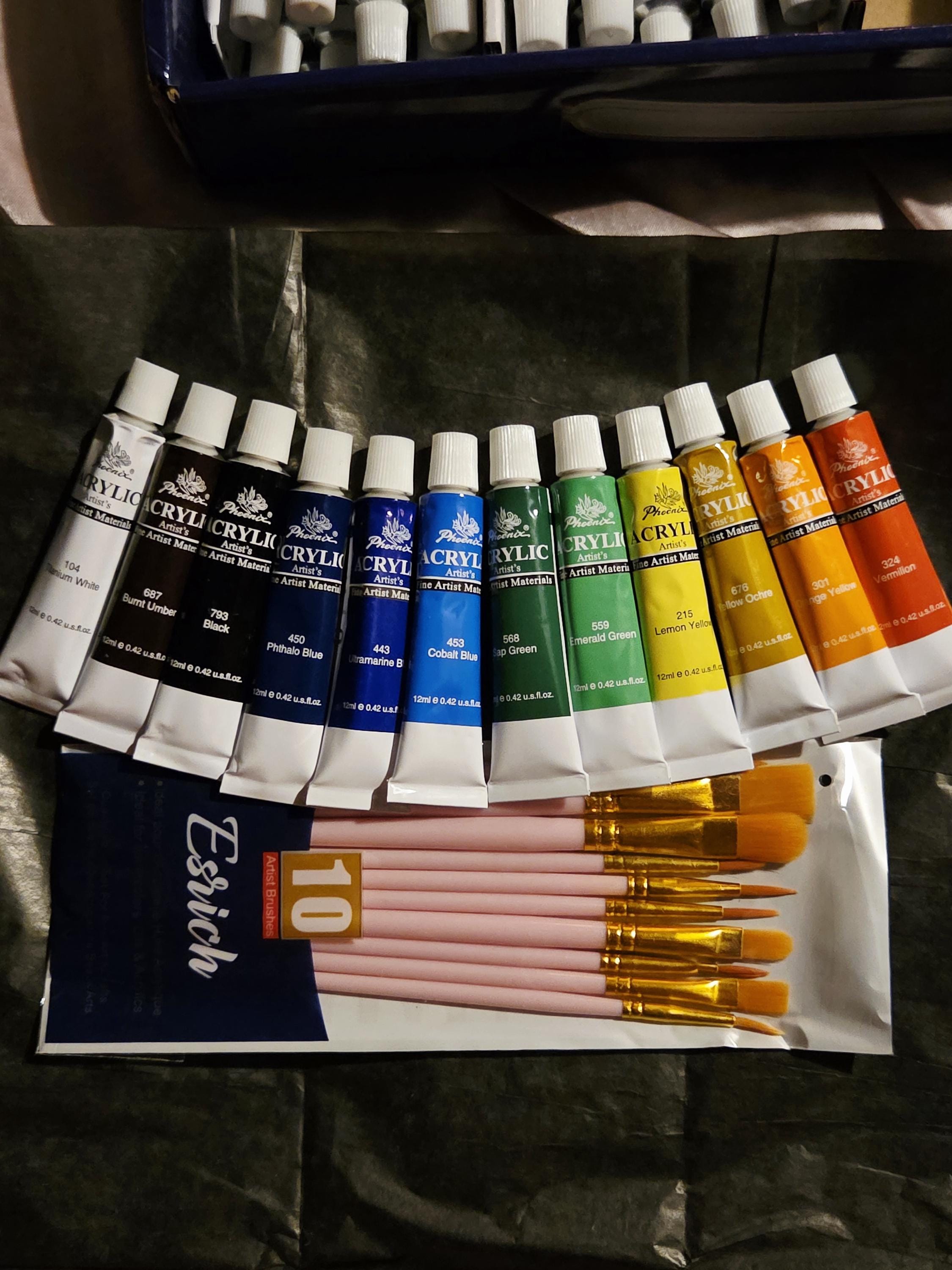 Set of 12 Acrylic Paint and Brushes Kit
