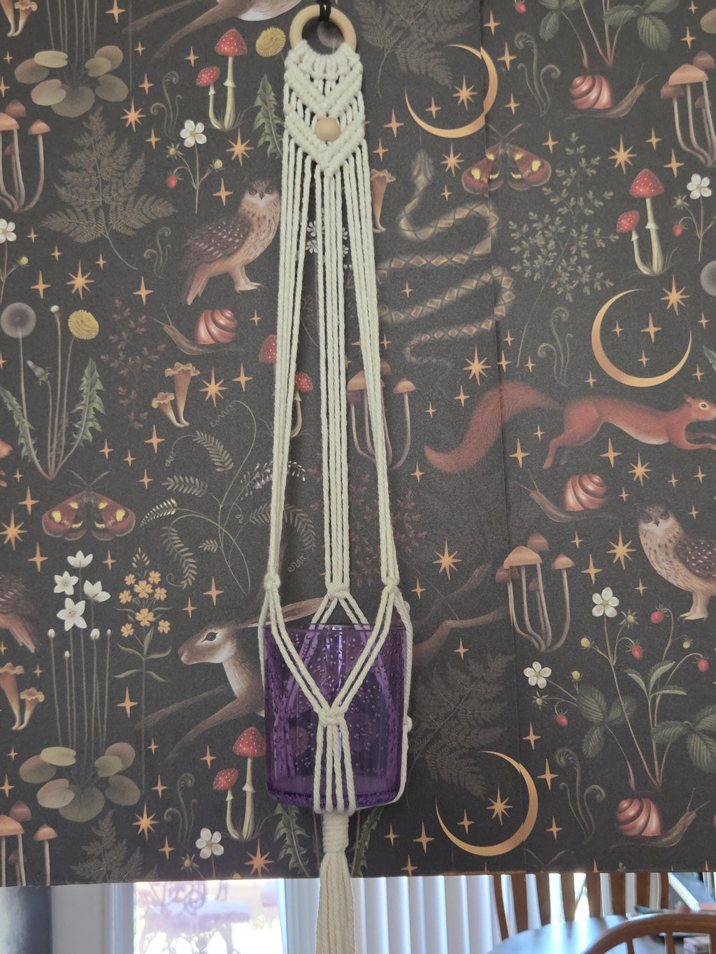 Small White Macrame Plant Hanger for Wall