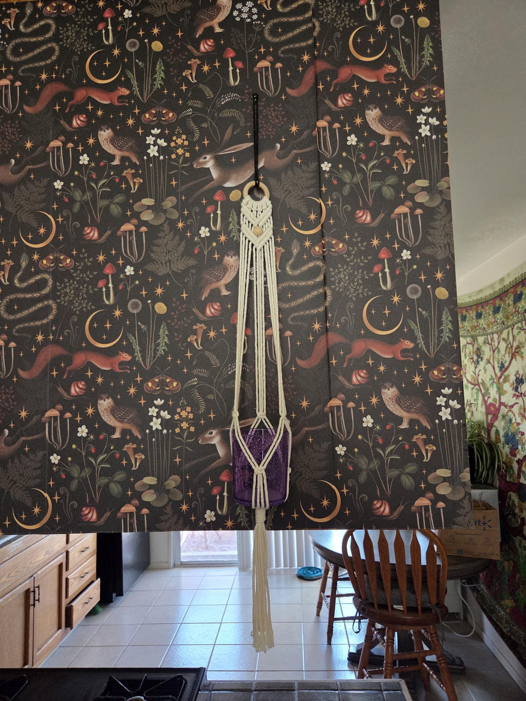 Small White Macrame Plant Hanger for Wall