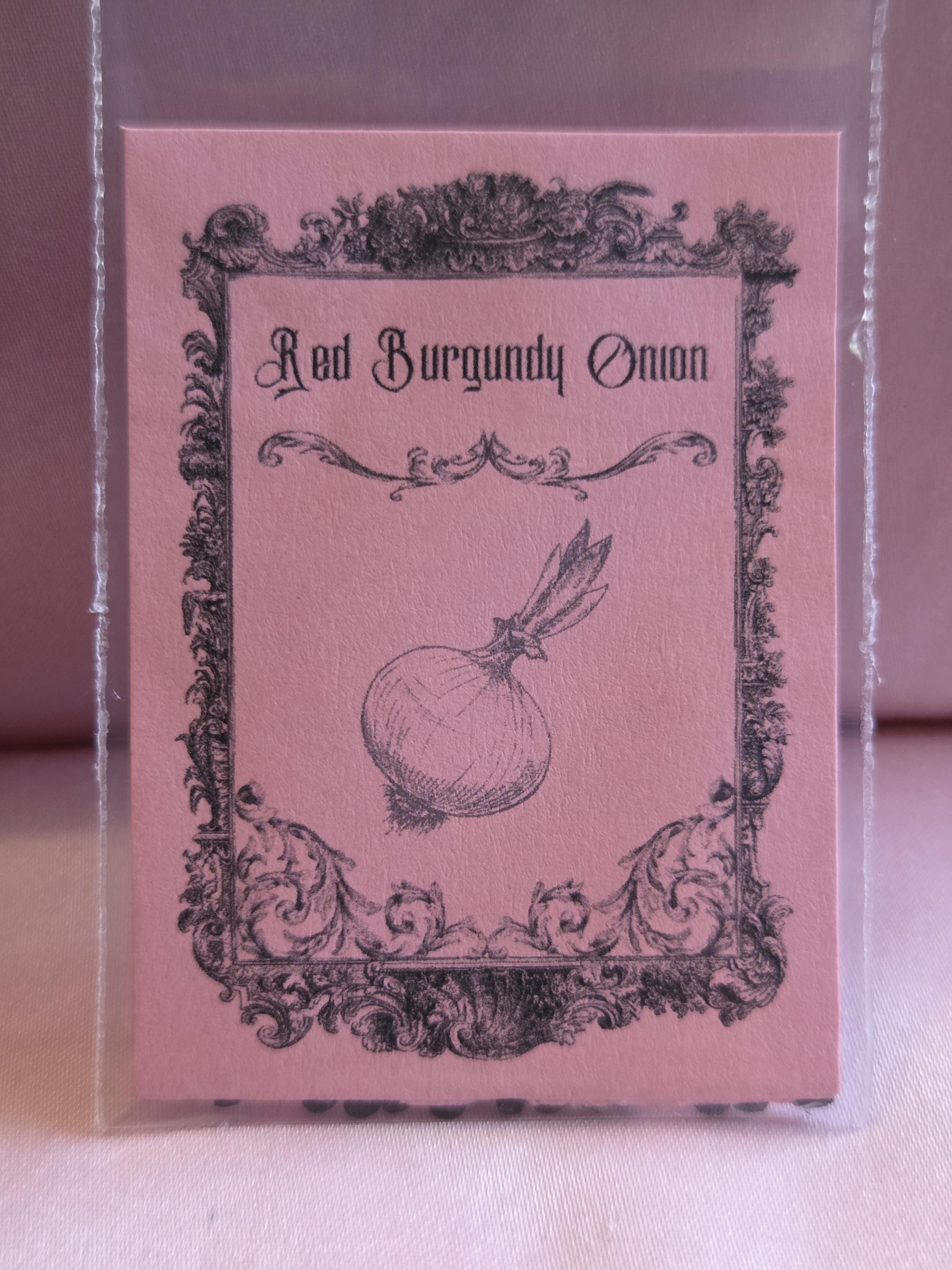 20 Red Burgundy Onion Seeds