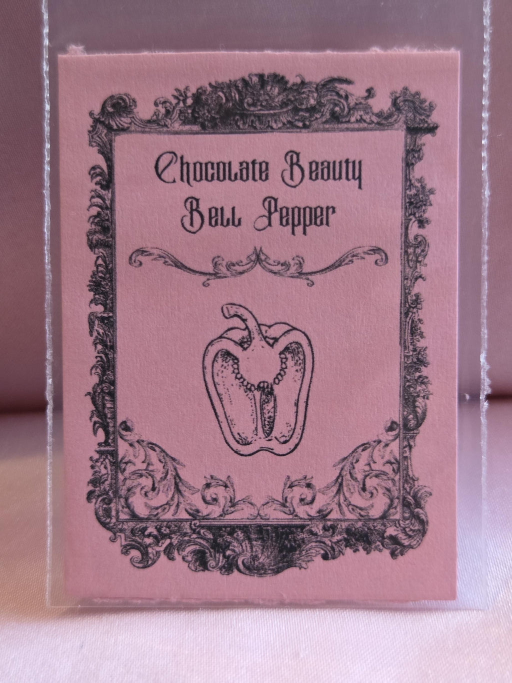 10 Chocolate Beauty Bell Pepper Seeds
