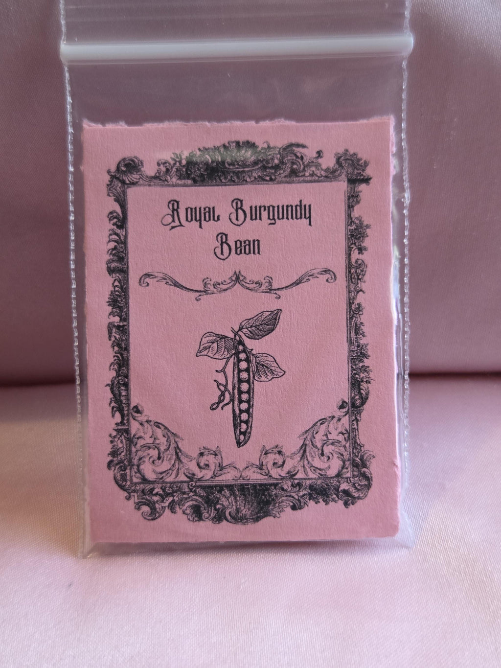 10 Royal Burgundy Bean Seeds