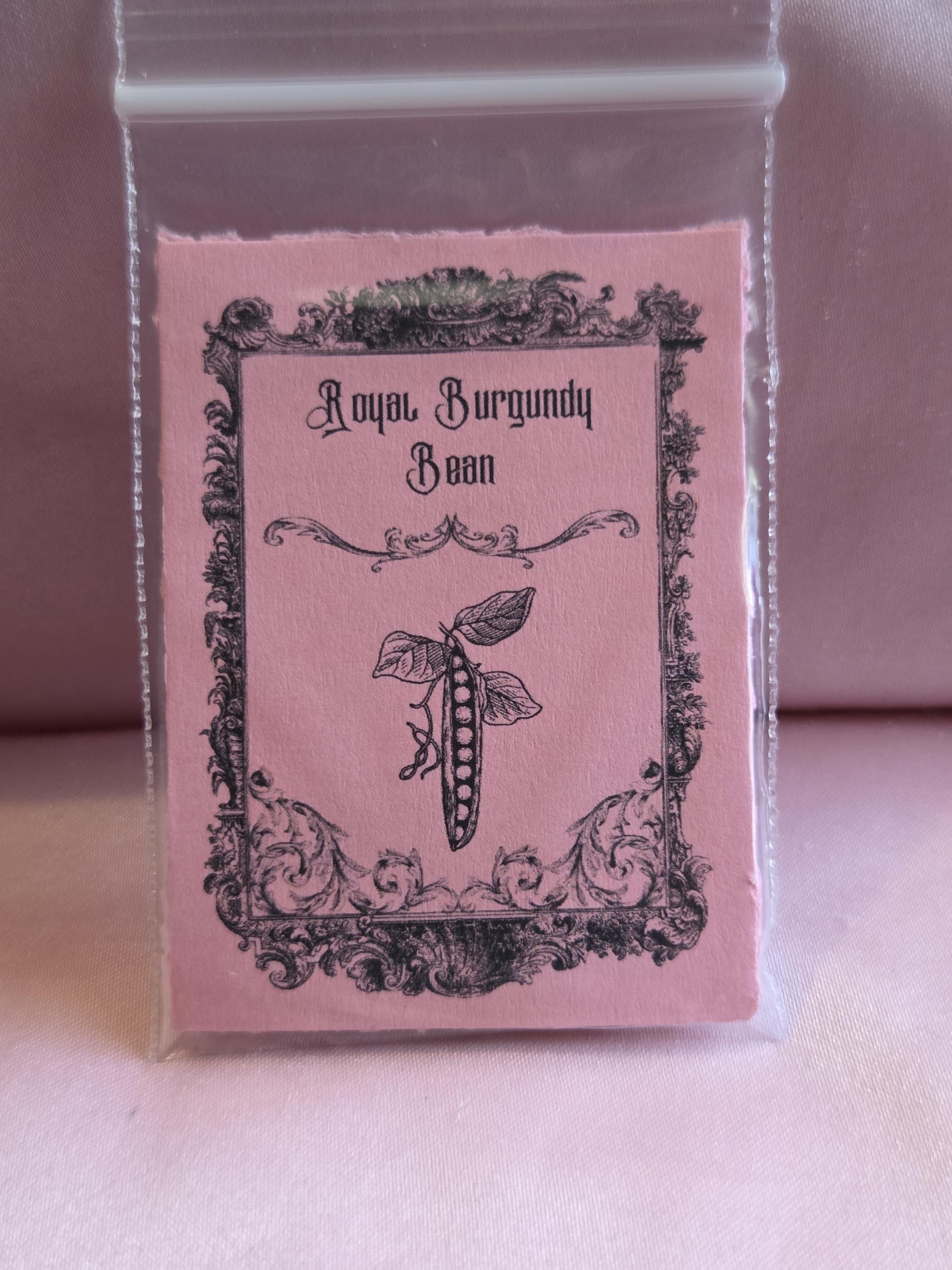 10 Royal Burgundy Bean Seeds