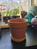 Mini Plant Pot for Garden and Indoor Plants 3 inch