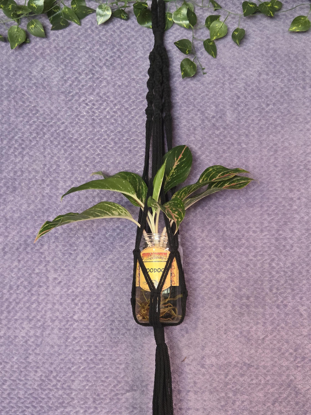 Black Macrame Plant Hanger for Wall