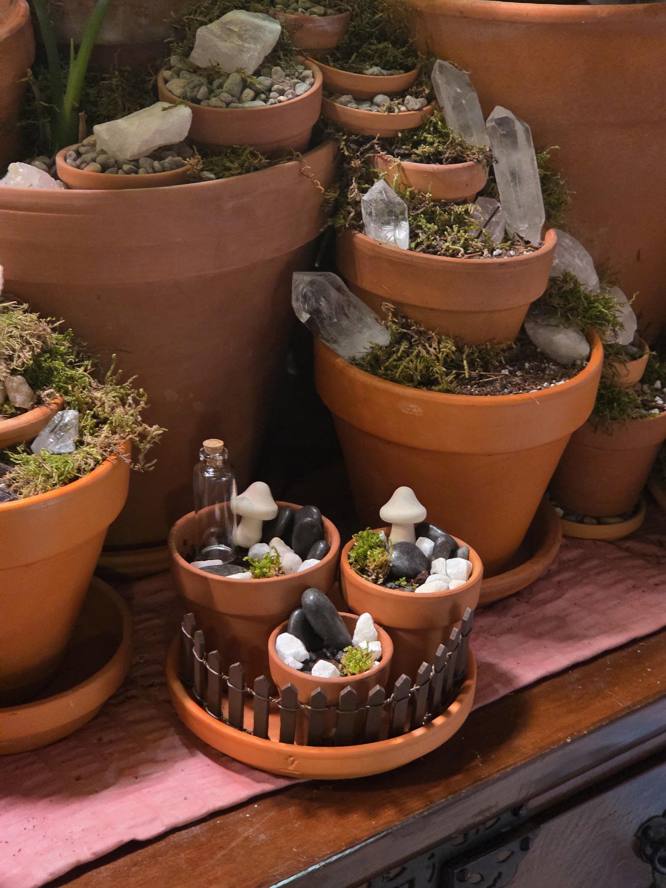 Mini Plant Pot for Garden and Indoor Plants 3 inch