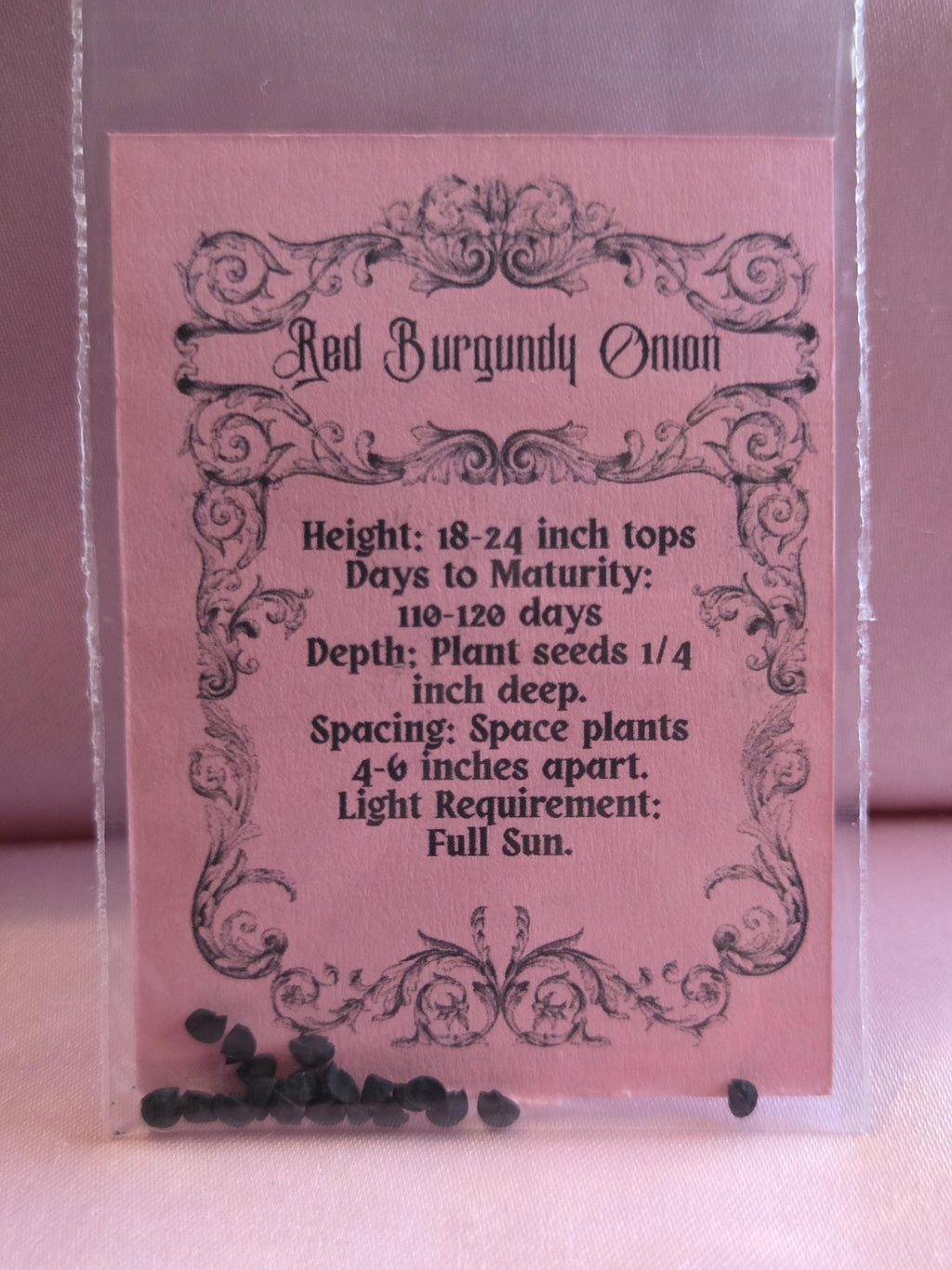 20 Red Burgundy Onion Seeds