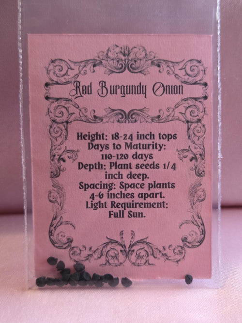 20 Red Burgundy Onion Seeds