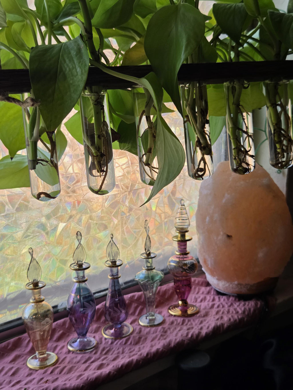 Mini Glass Jar for Plant Propagations