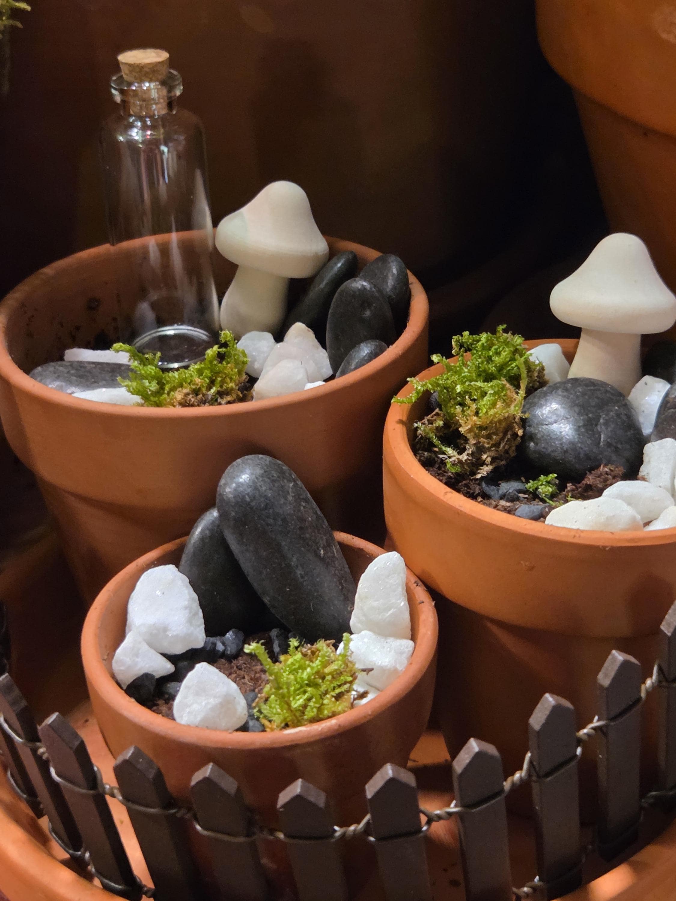 Ultimate Painting and Planting Kit for Fairy Wildflower Garden