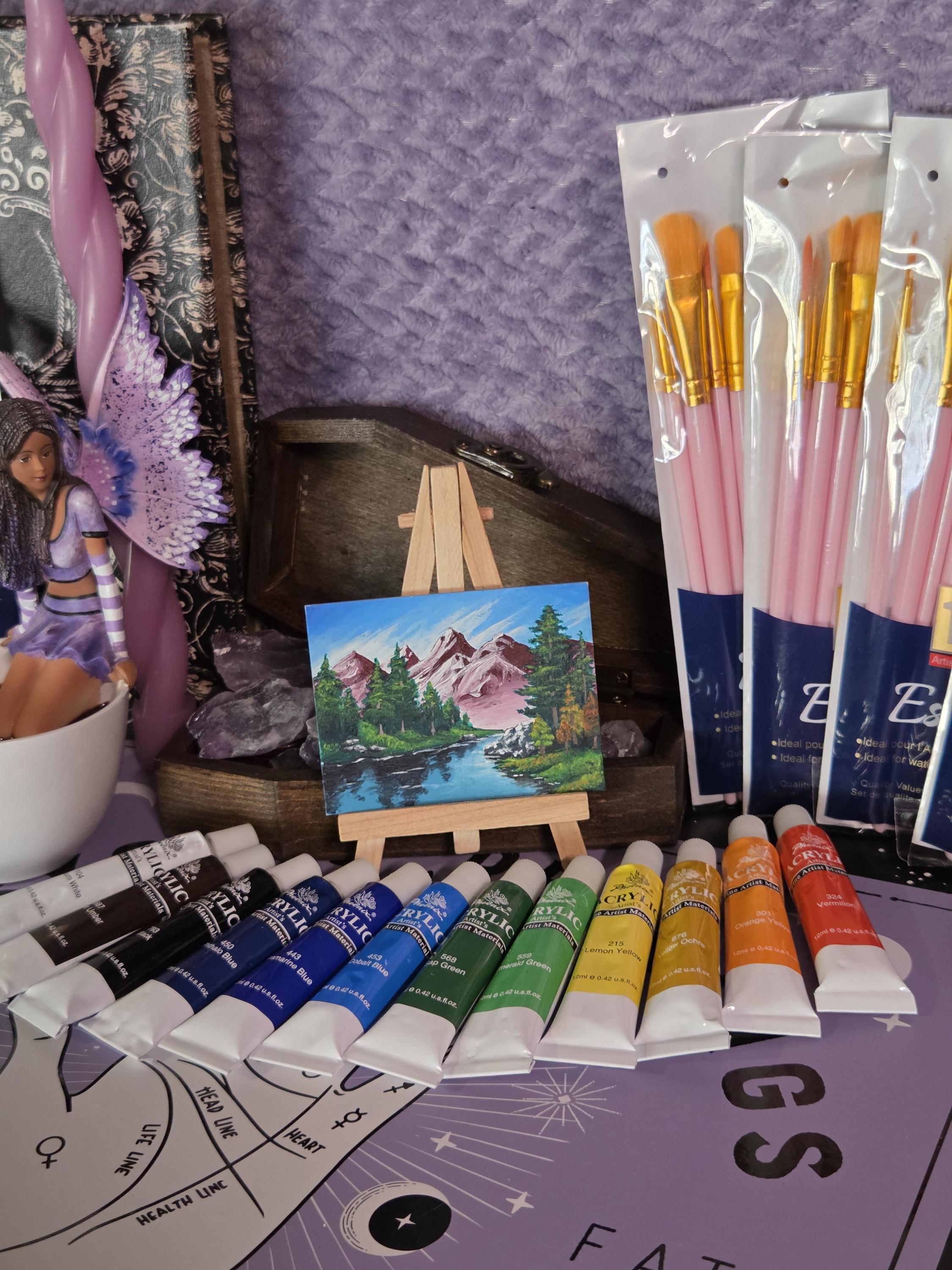 Set of 12 Acrylic Paint and Brushes Kit