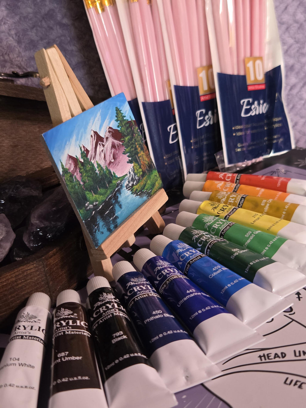 Set of 12 Acrylic Paint and Brushes Kit