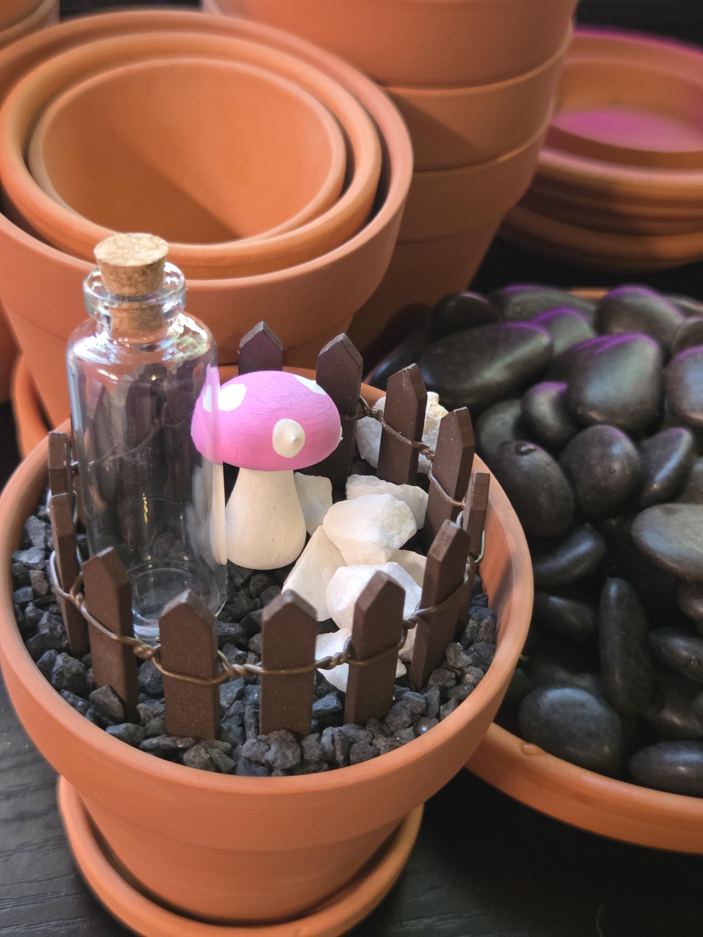 Mini Plant Pot for Garden and Indoor Plants 3 inch