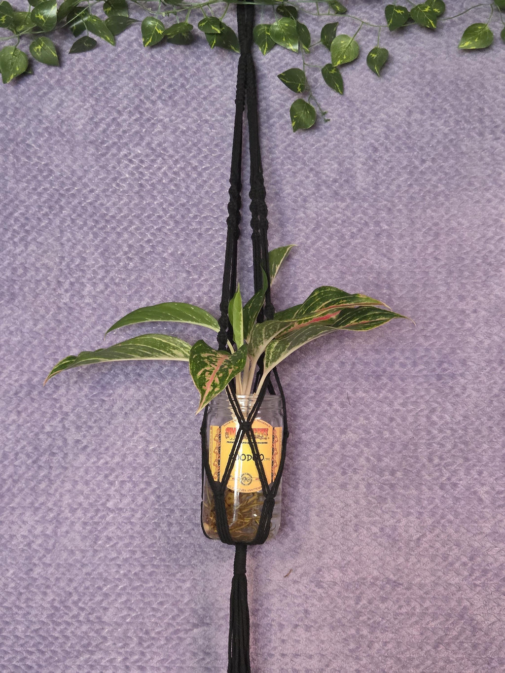 Black Macrame Plant Hanger for Wall