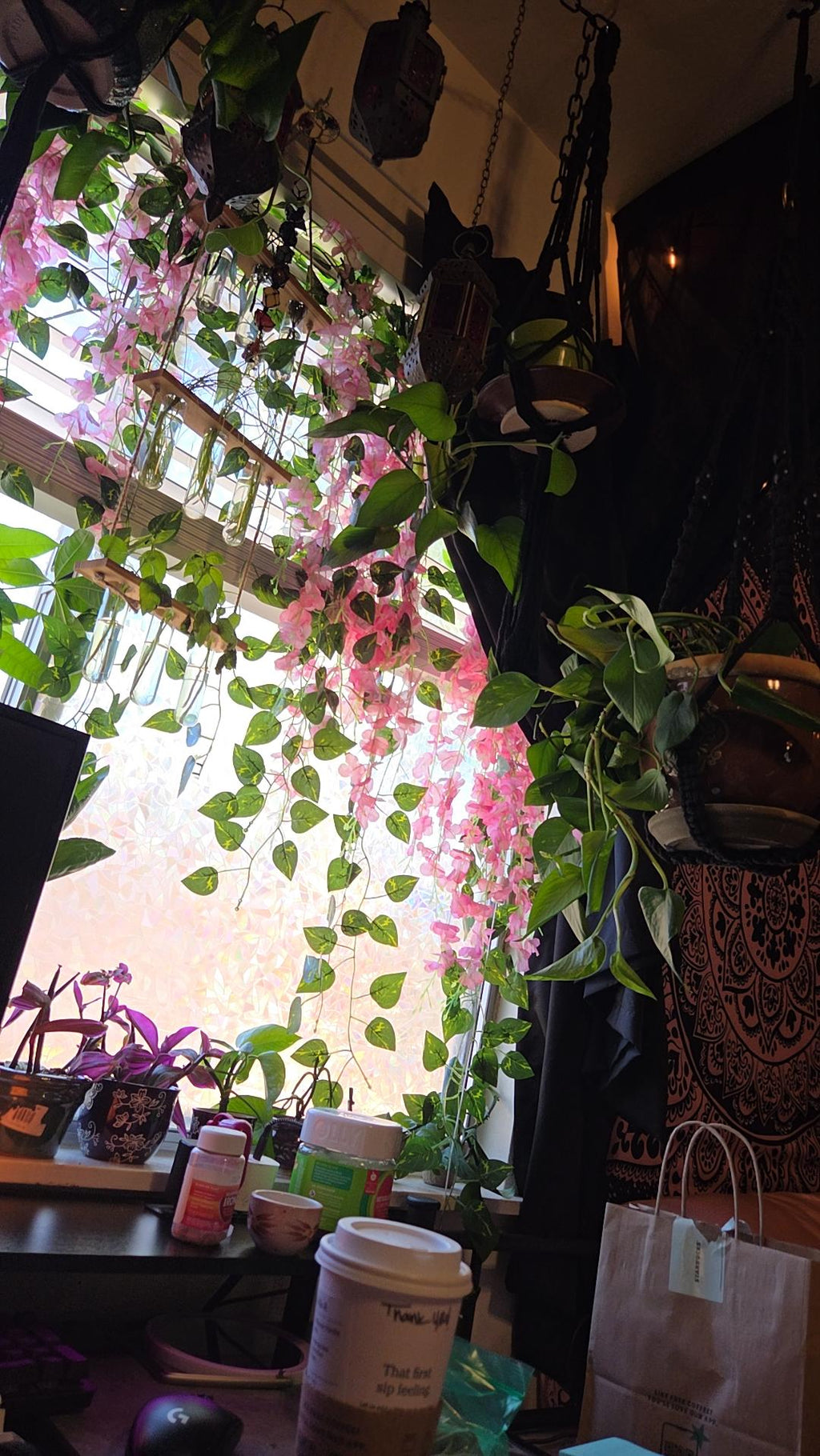 Golden Pothos Cutting/Water Propagation