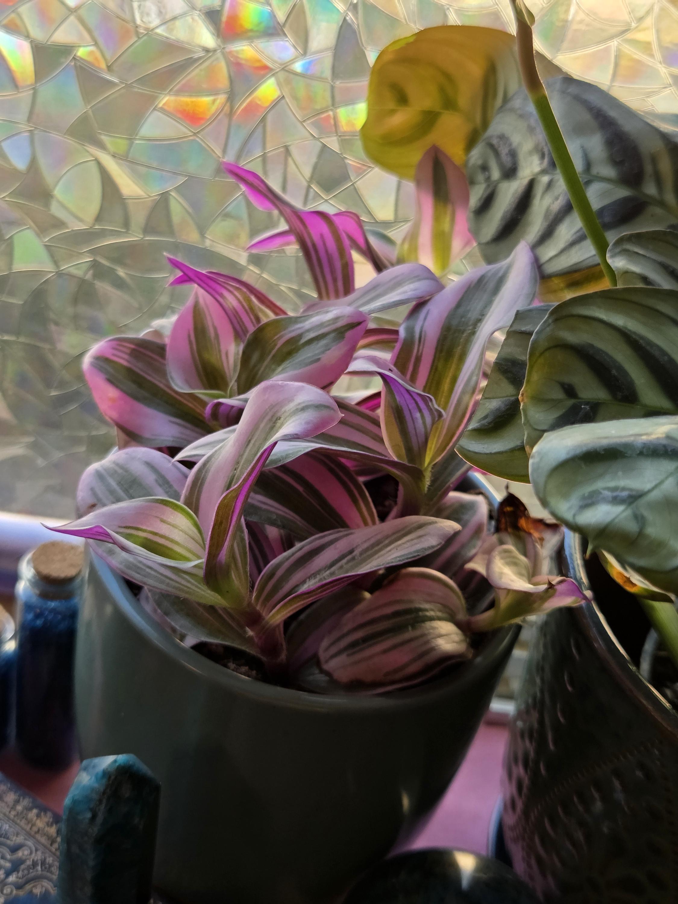Blue 4 inch Clay Plant Pot