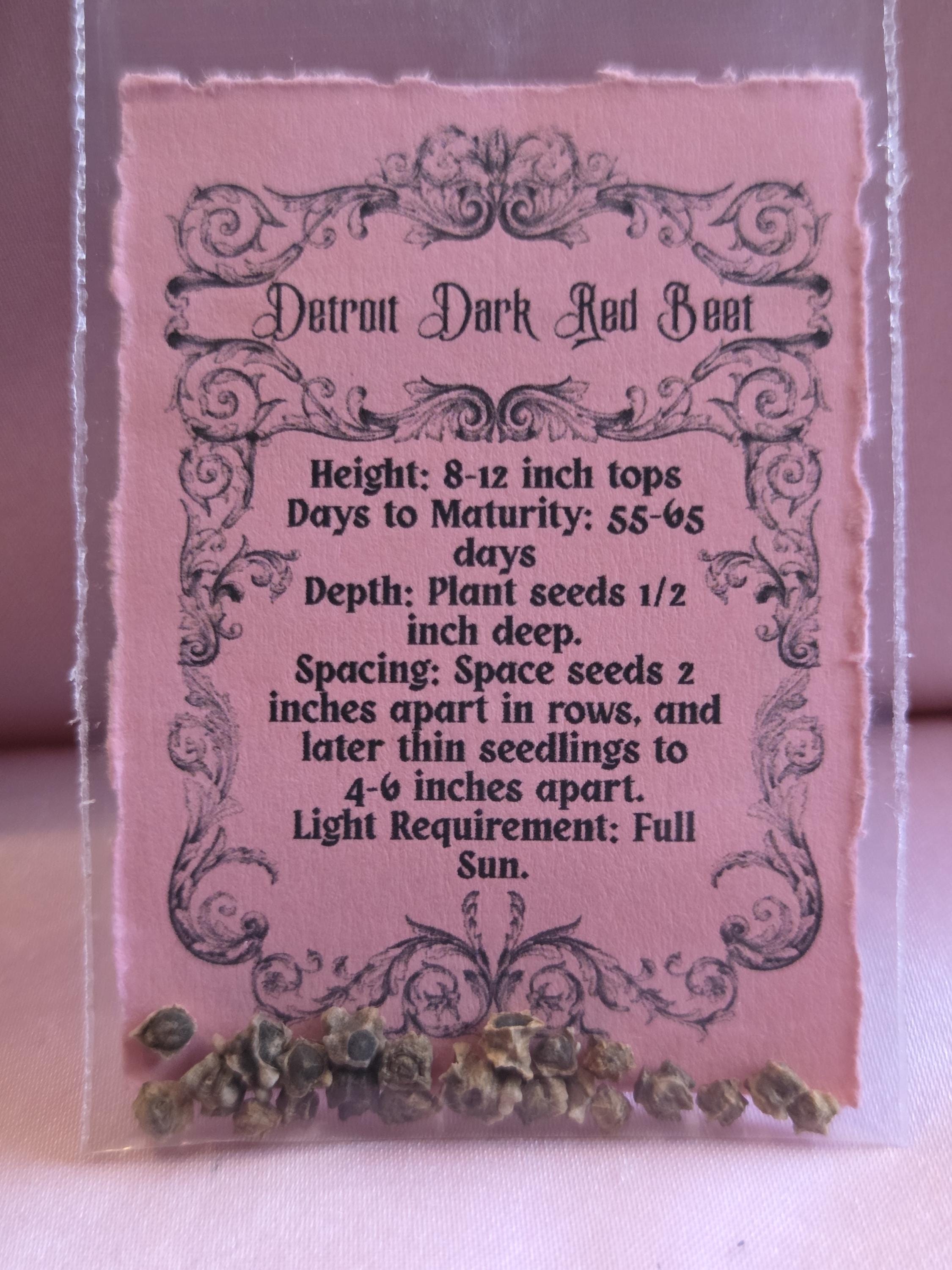 20 Detroit Dark Red Beet Seeds