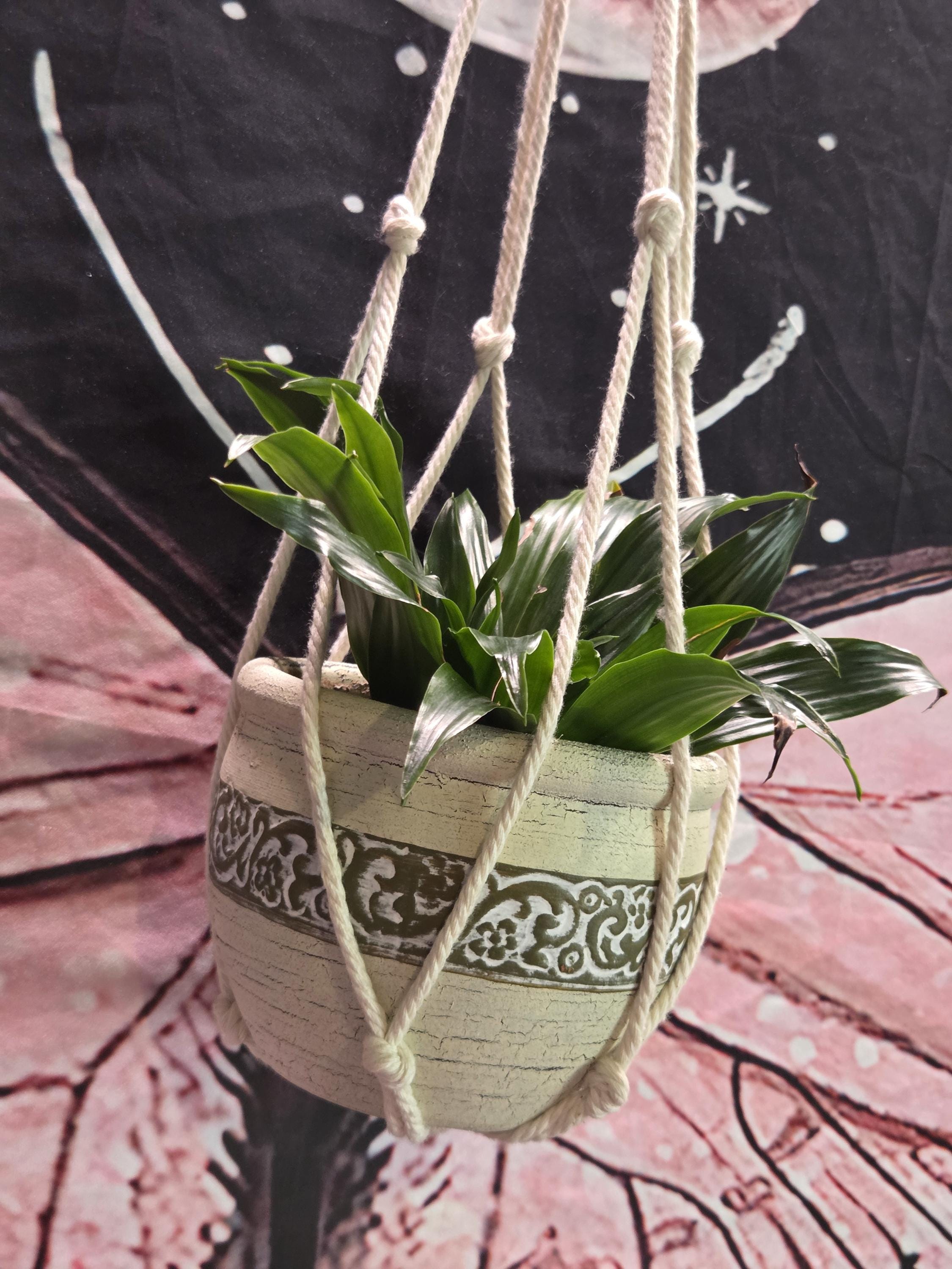 Small White Macrame Plant Hanger