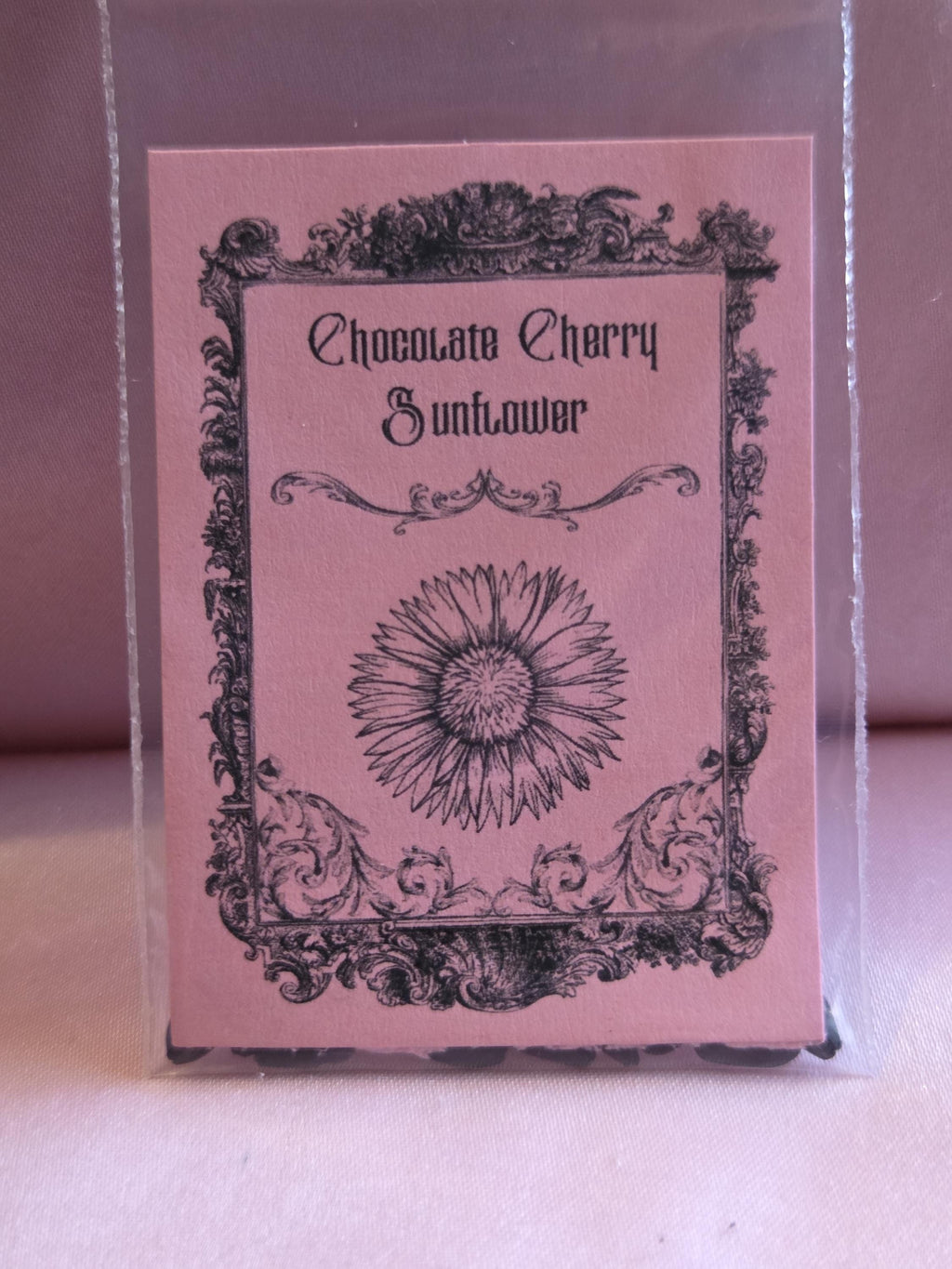 10 Chocolate Cherry Sunflower Seeds