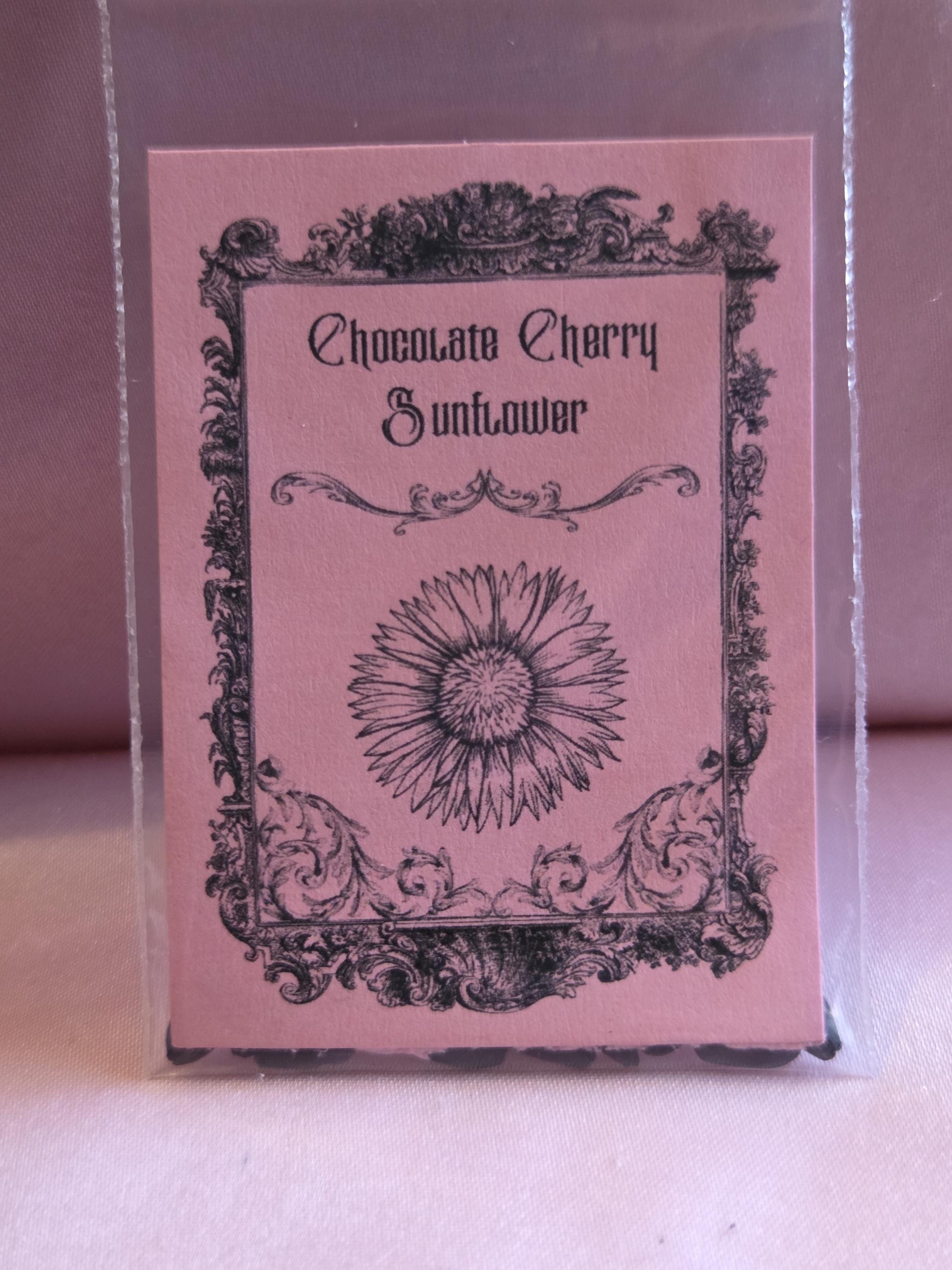 10 Chocolate Cherry Sunflower Seeds