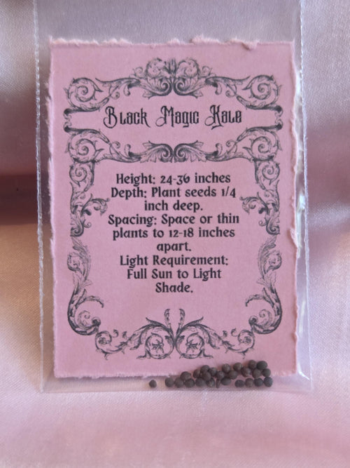 25 Black Magic Kale Seeds