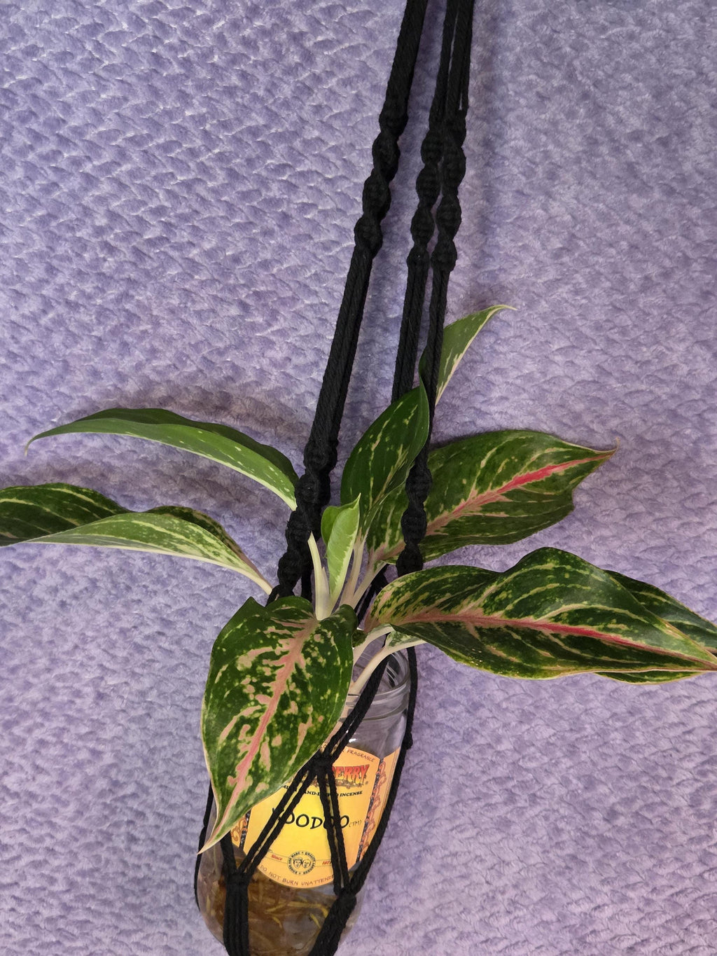 Black Macrame Plant Hanger for Wall
