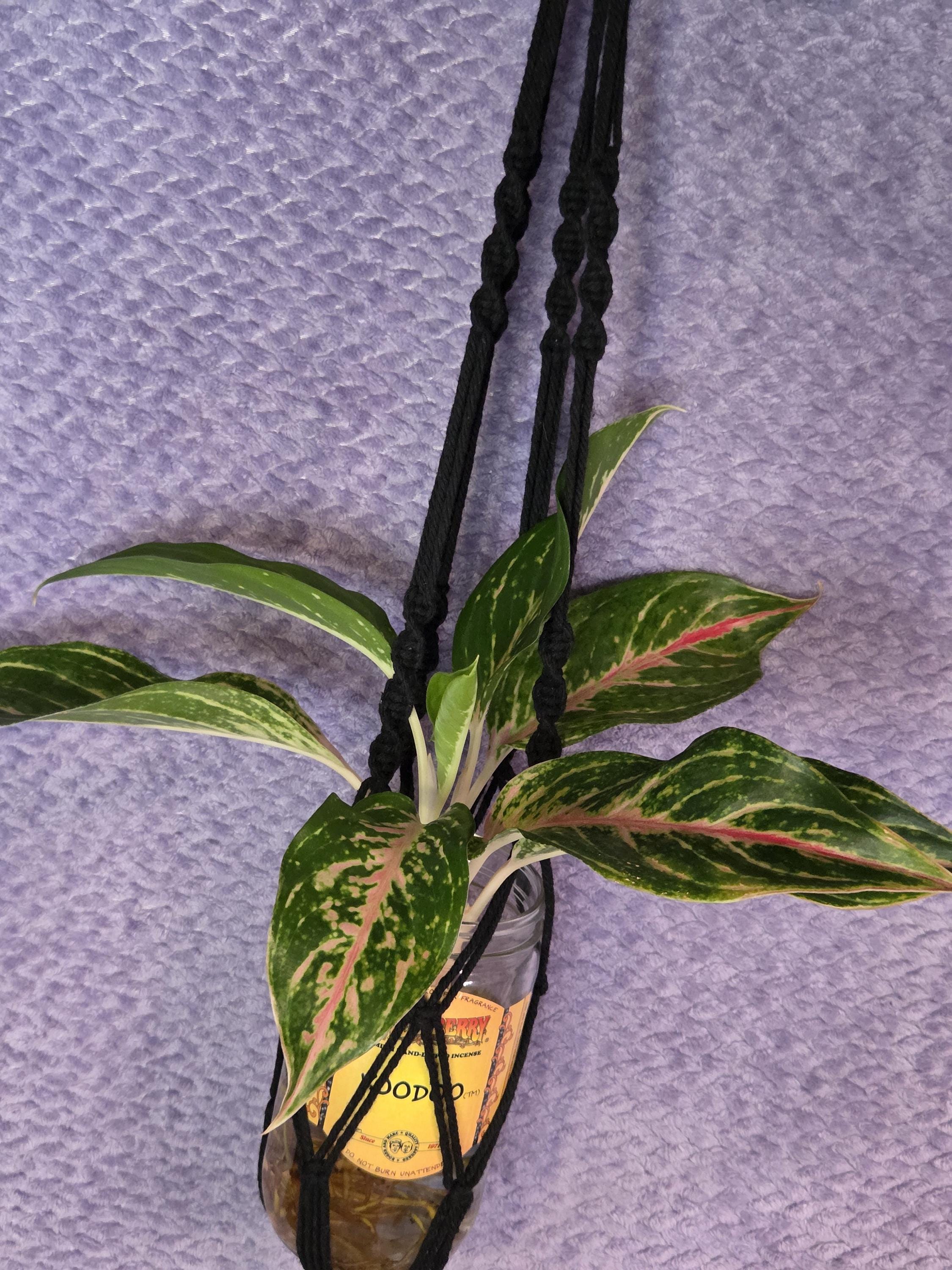 Black Macrame Plant Hanger for Wall