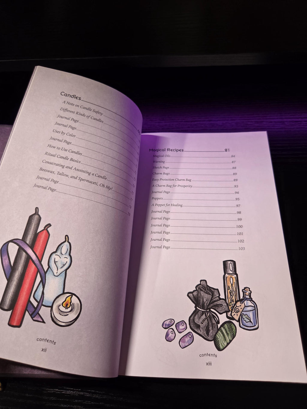 Eclectic Witch's Book of Shadows by Deborah Blake