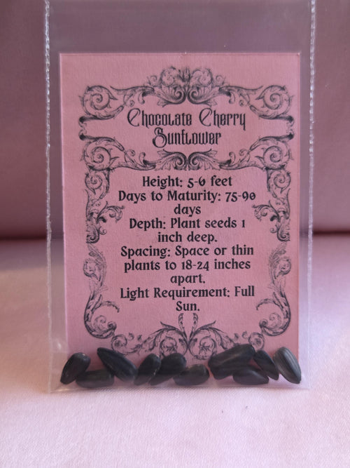 10 Chocolate Cherry Sunflower Seeds