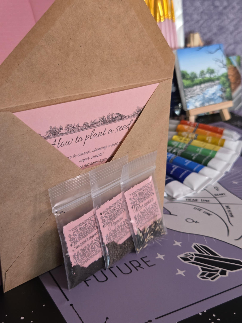 Ultimate Painting and Planting Kit for Fairy Wildflower Garden