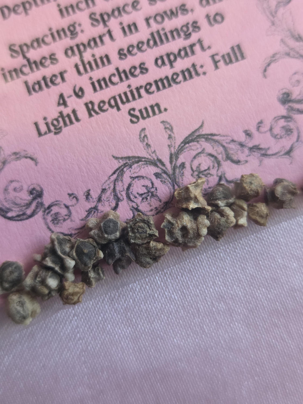 20 Detroit Dark Red Beet Seeds