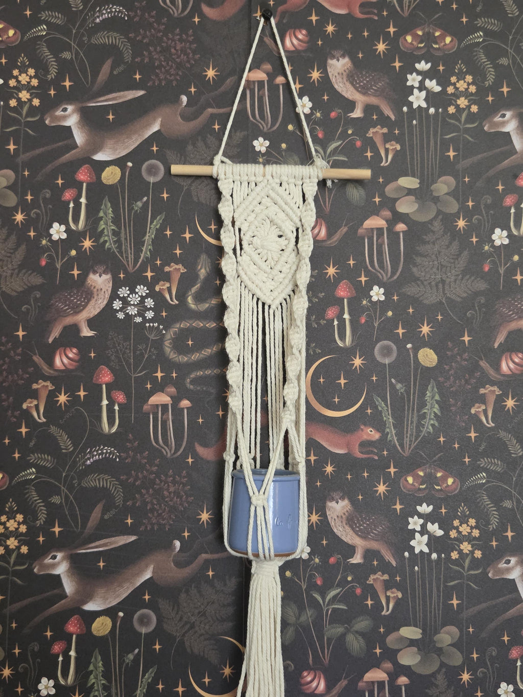Small White Macrame Plant Hanger for Wall