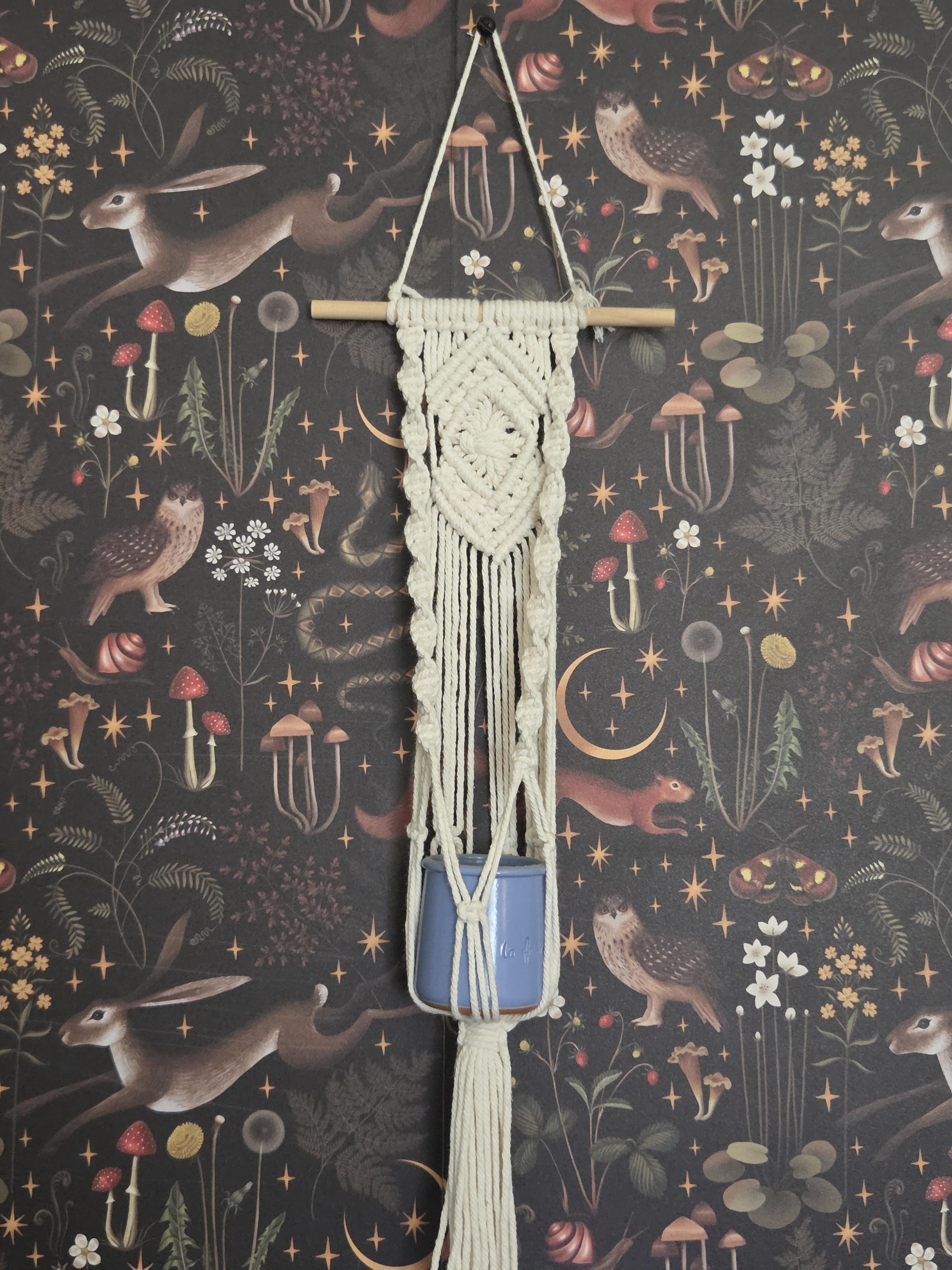 Small White Macrame Plant Hanger for Wall