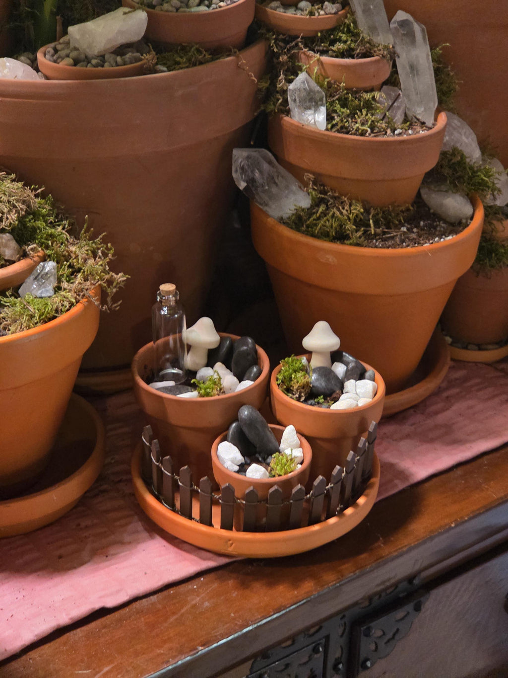 Ultimate Painting and Planting Kit for Fairy Wildflower Garden
