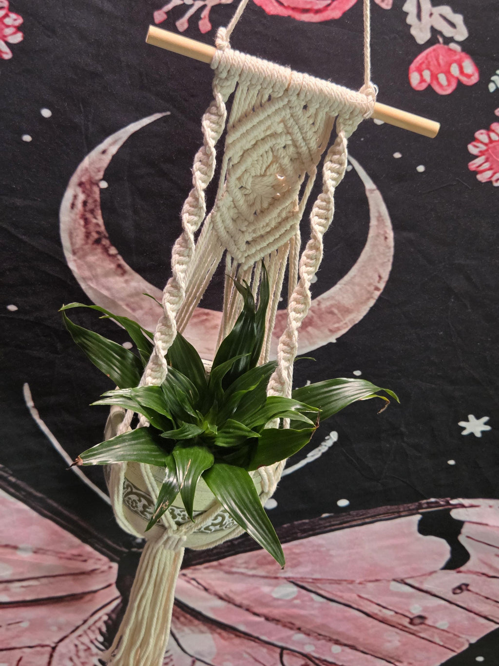 Small White Macrame Plant Hanger for Wall