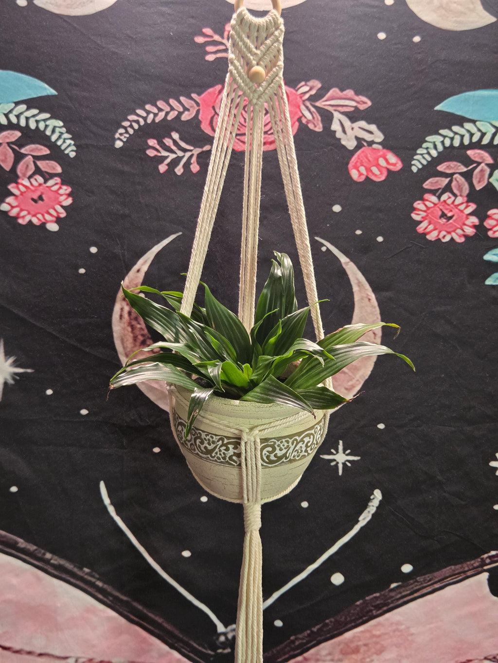 Small White Macrame Plant Hanger for Wall