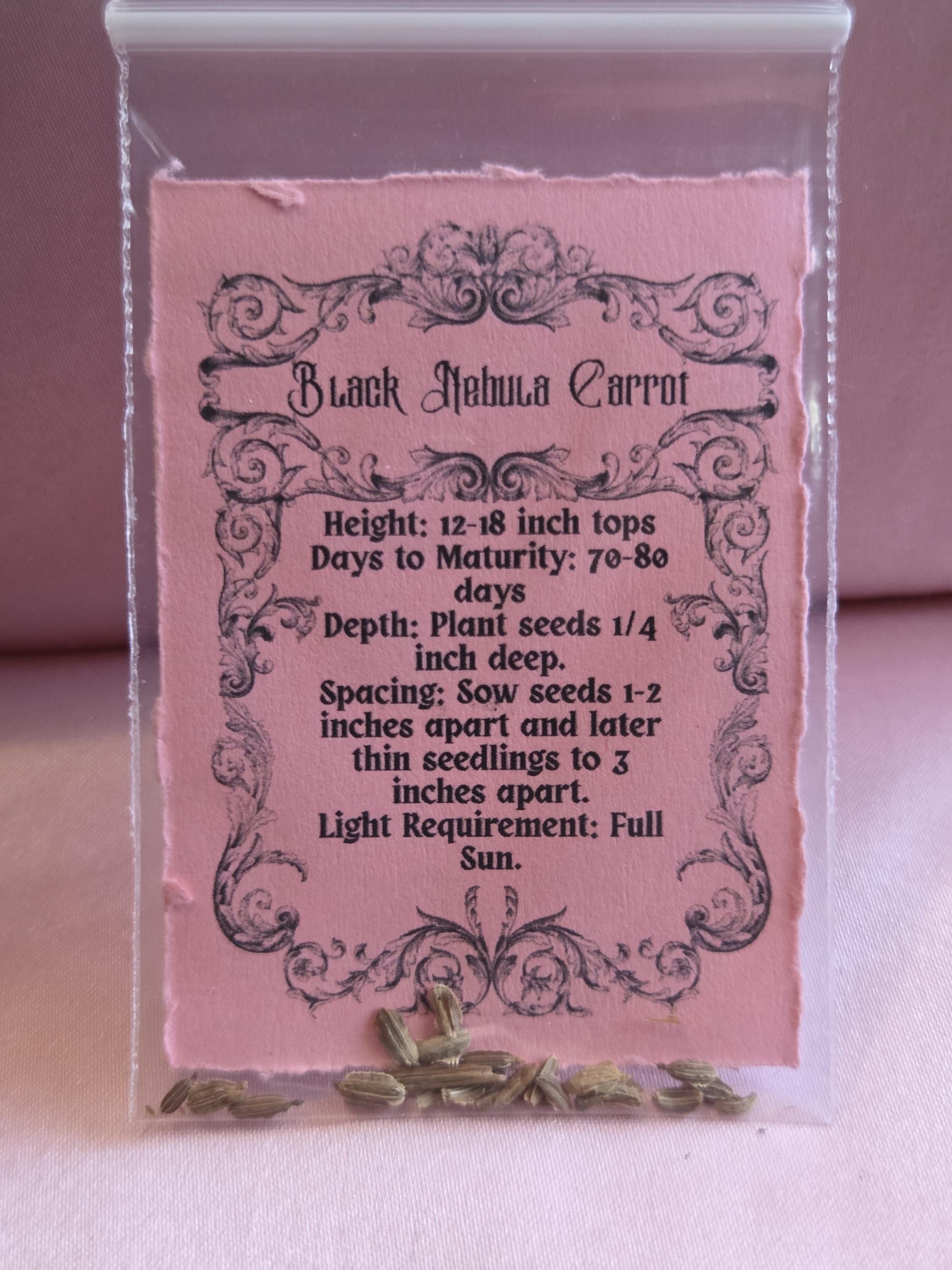 20 Black Nebula Carrot Seeds