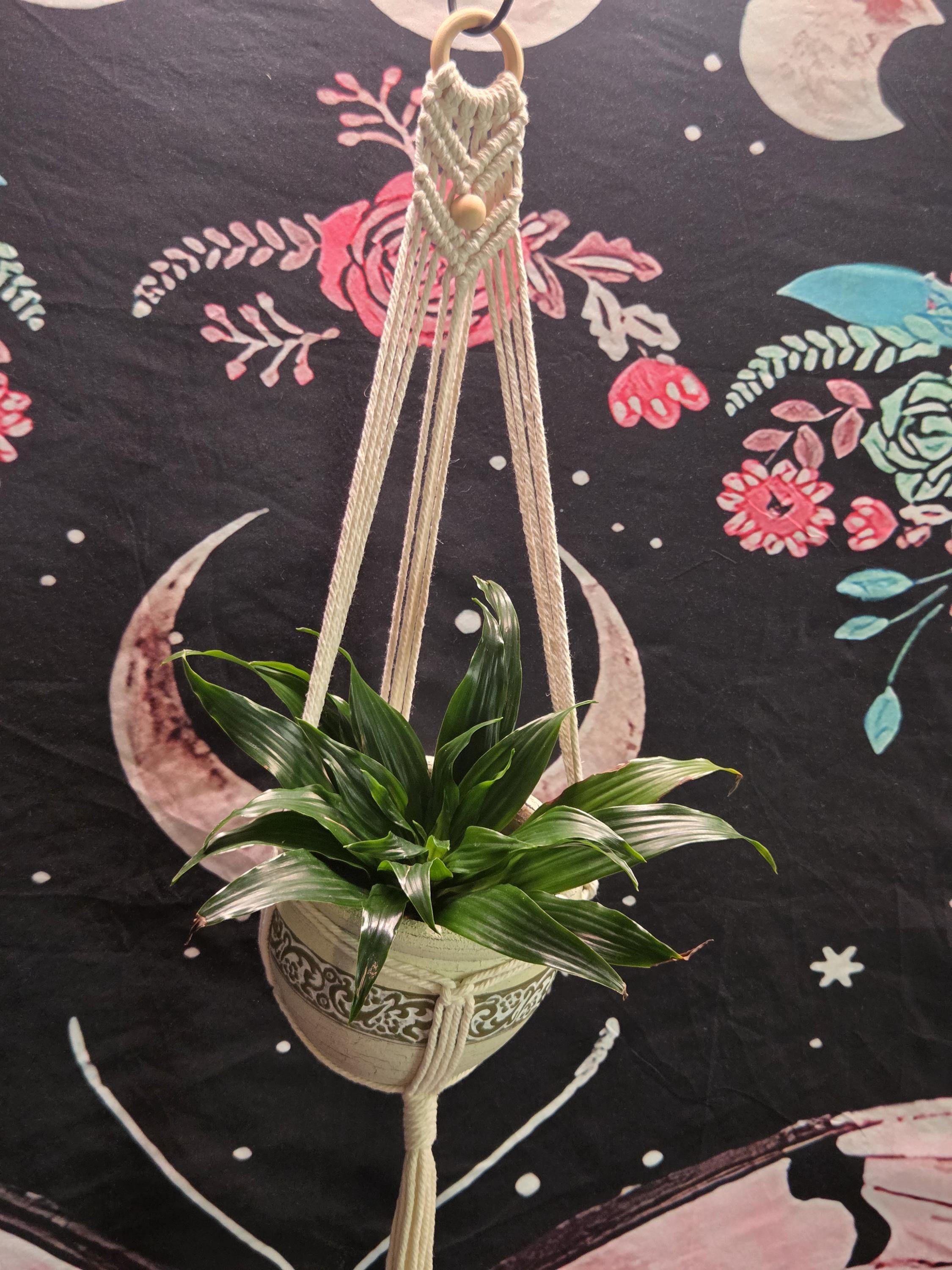 Small White Macrame Plant Hanger for Wall