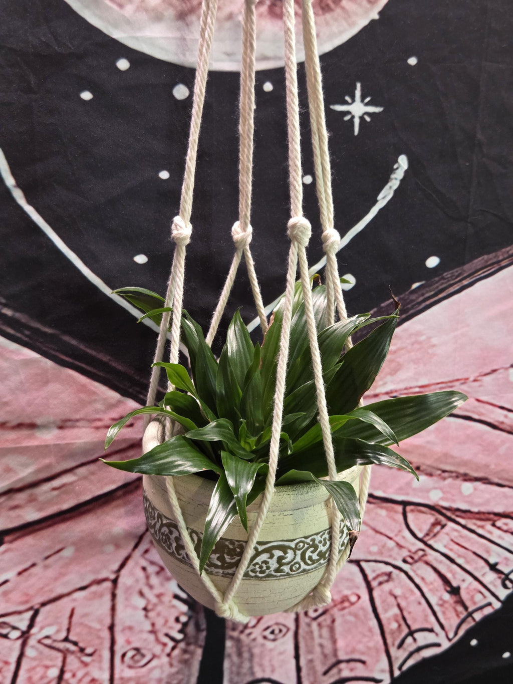 Small White Macrame Plant Hanger