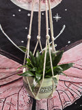 Small White Macrame Plant Hanger
